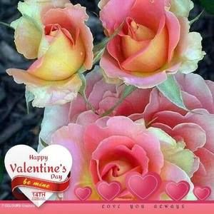 Meet your Posher, Rita